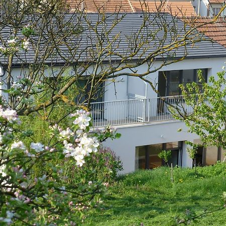 Appartamento Pod Králičím vrchem Milovice  Esterno foto